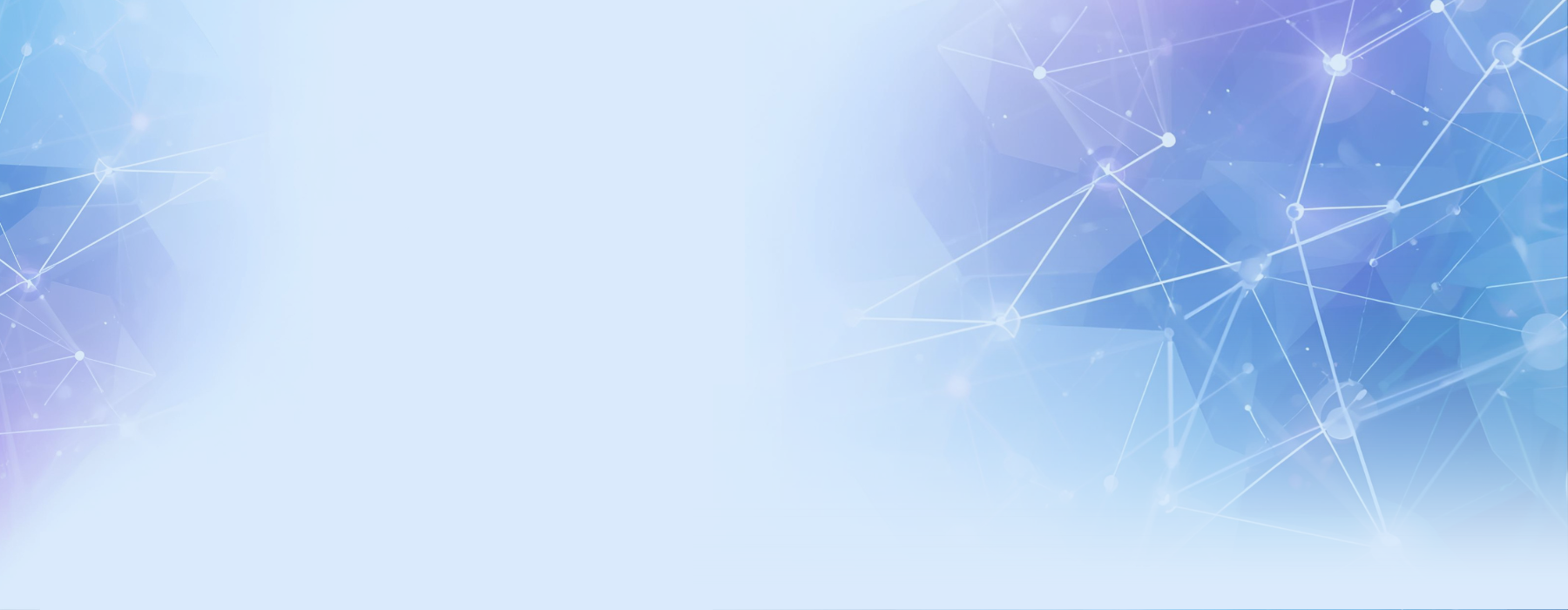 The Rainbird Team Rainbird Technologies Ltd